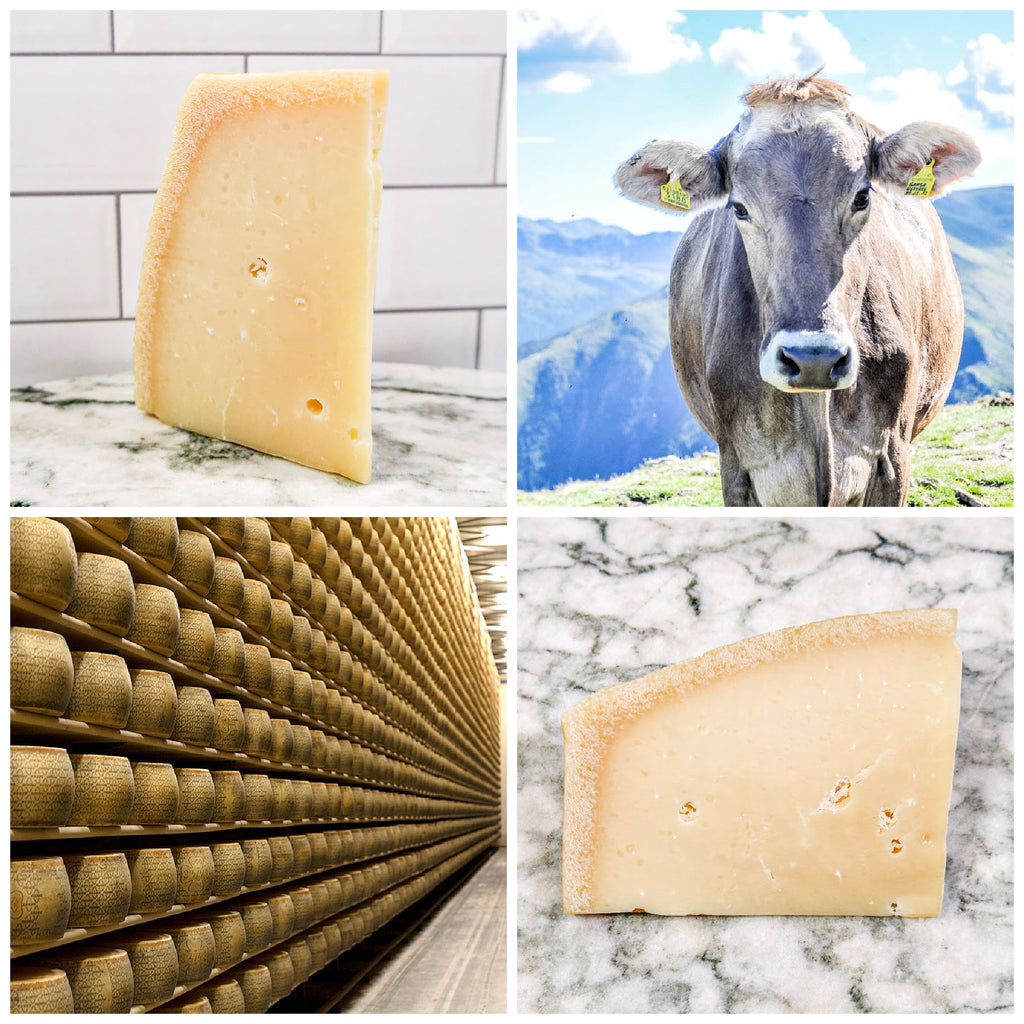THE BIG CHEESE OF THE WEEK | 5/16-5/22!
